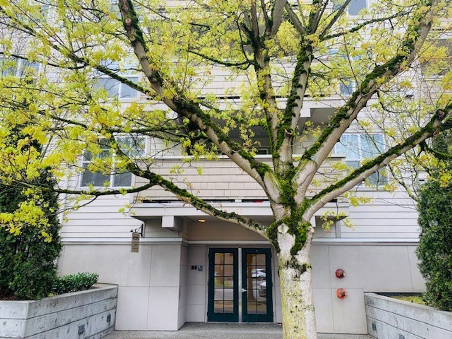 Seattle Apartment: 205 Nickerson St
