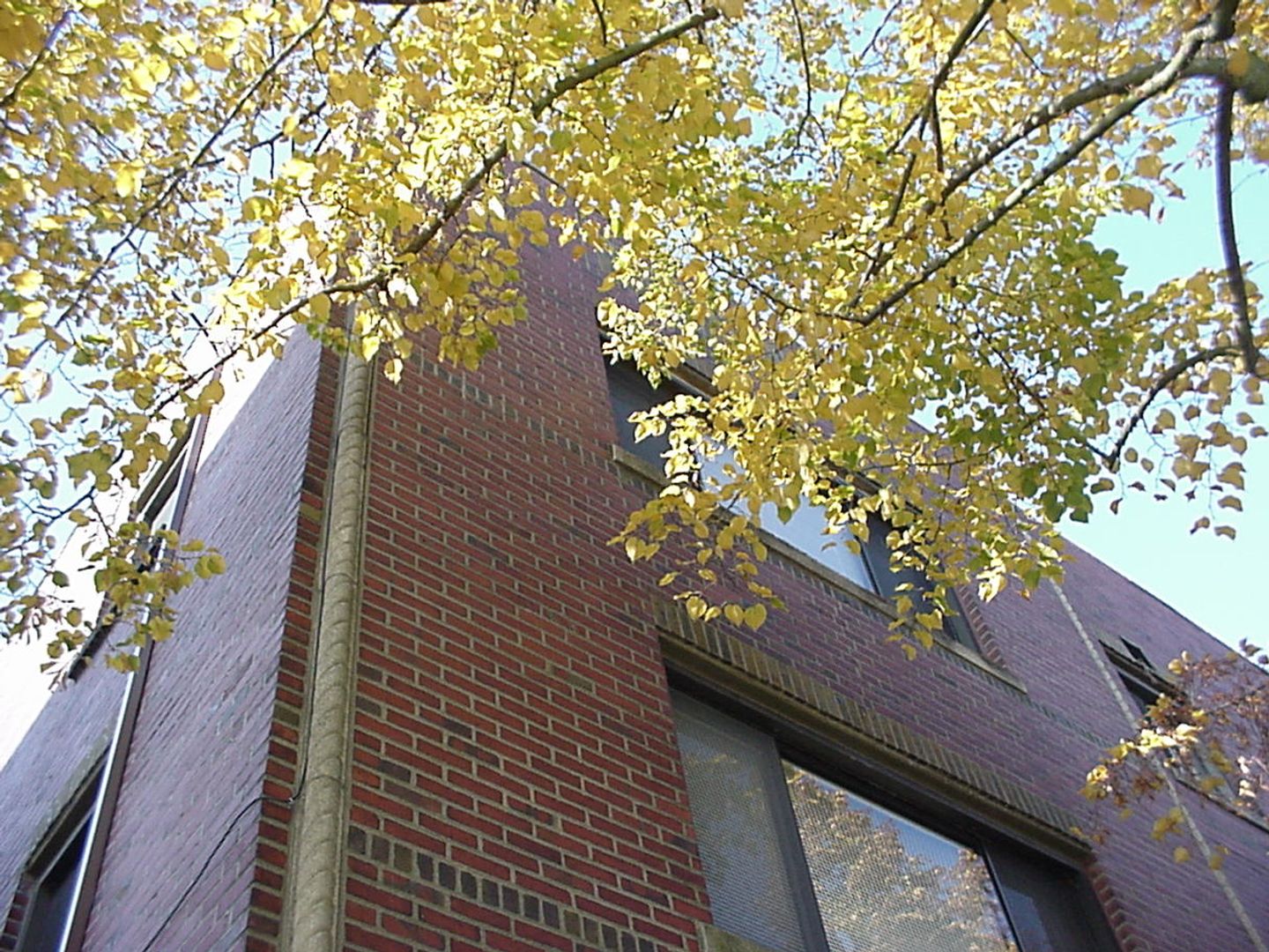 Seattle Apartment: 515 14th Ave E