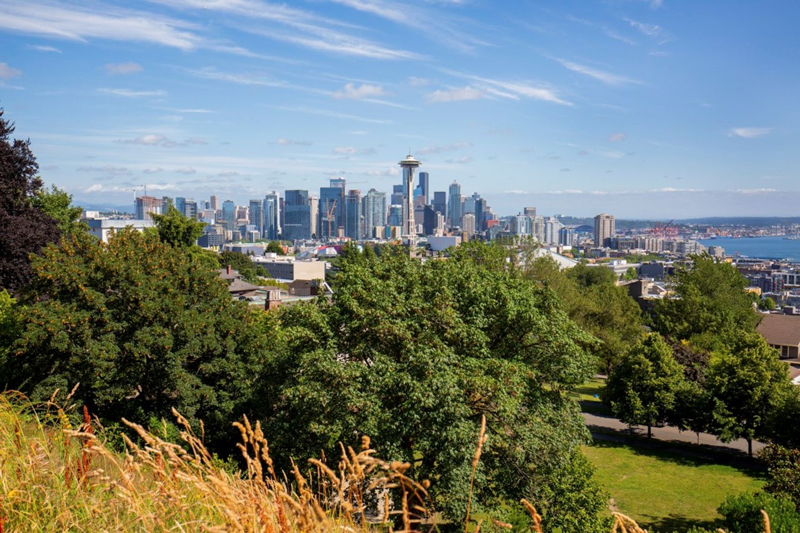 Seattle Apartment: 101 W. Olympic Pl