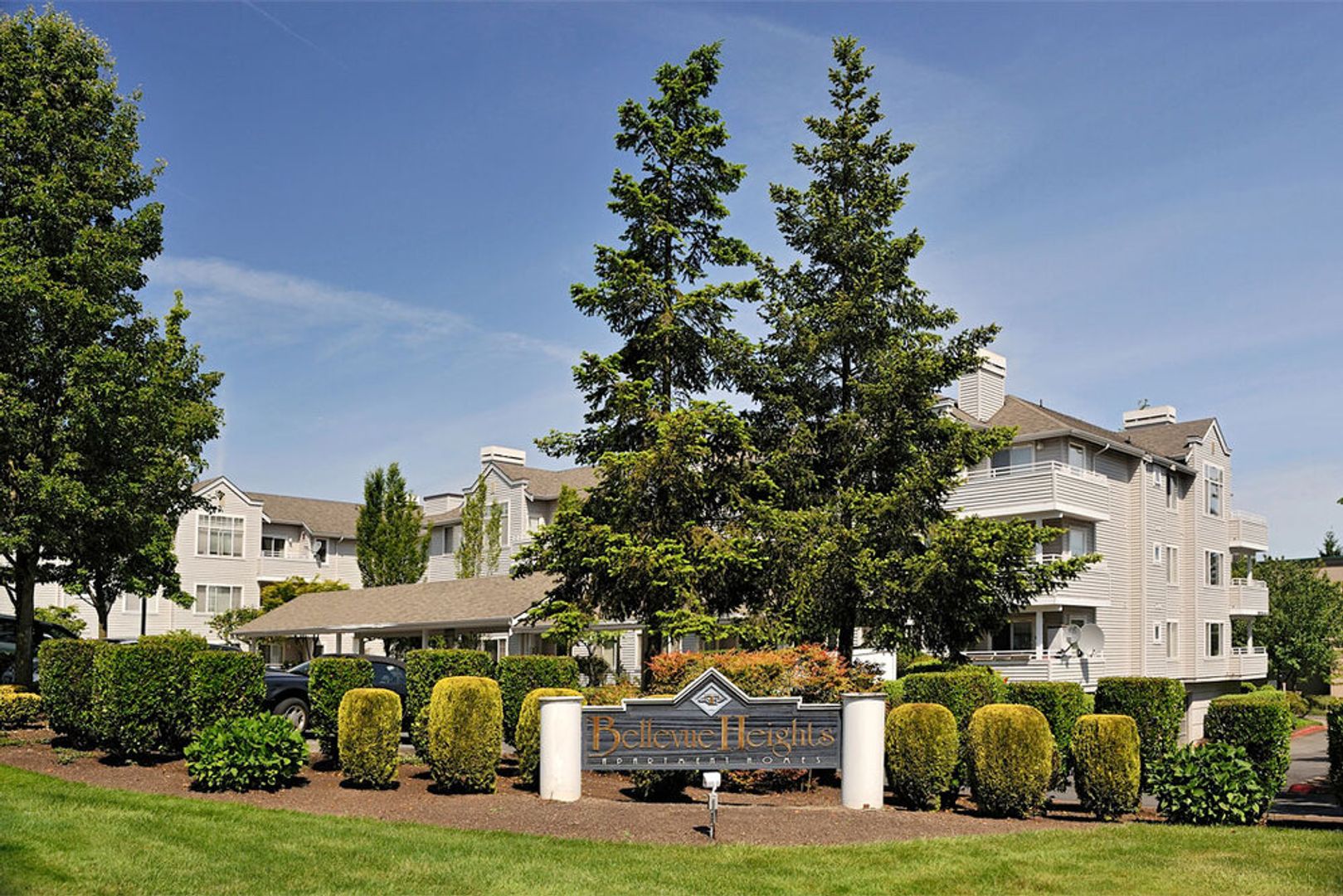Bellevue Apartment: 13902 NE 8th St