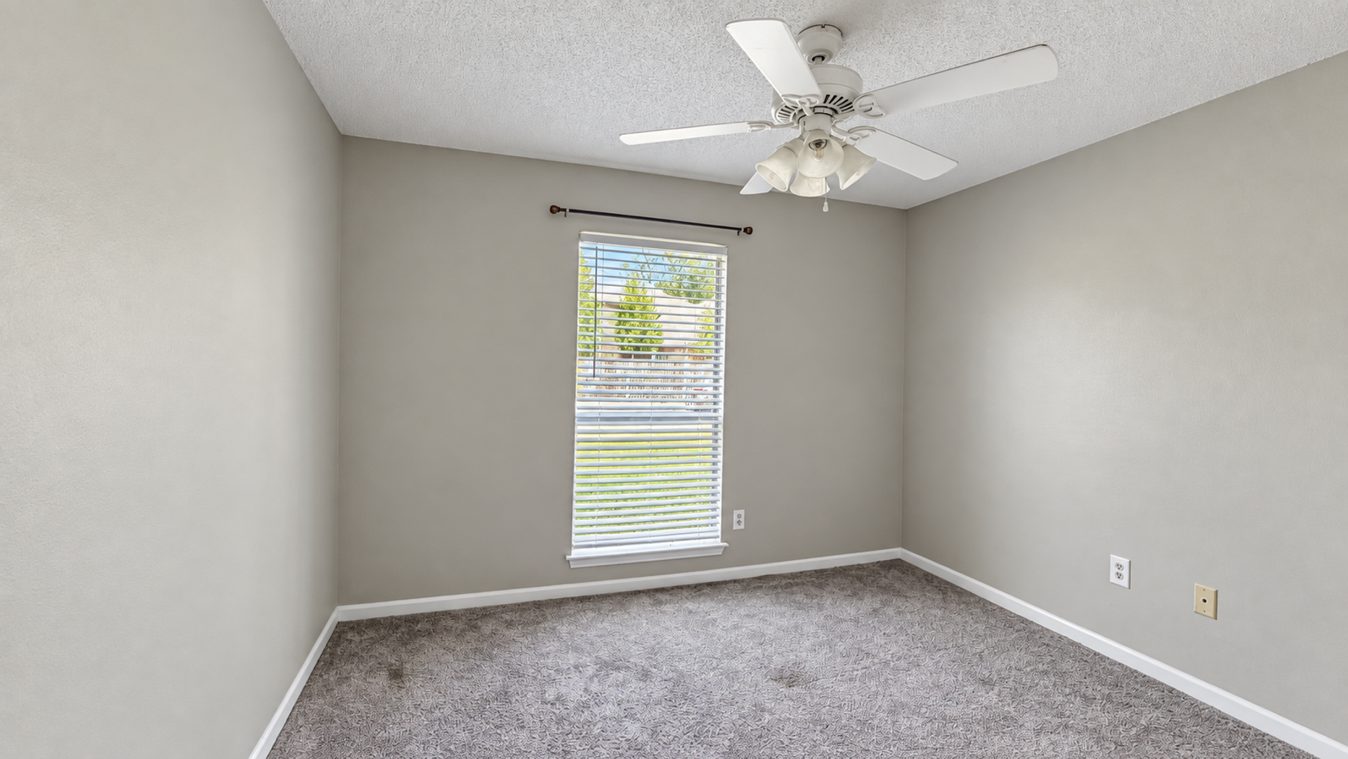 5107 Nicholson Drive 3 of 8
