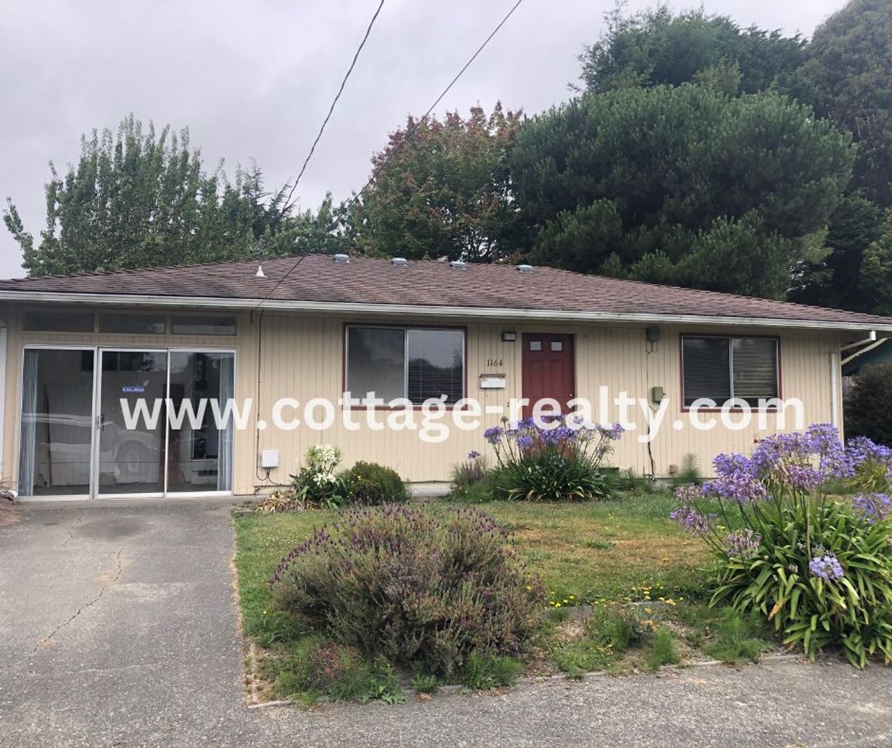 Arcata House: 1164 Madrone Way