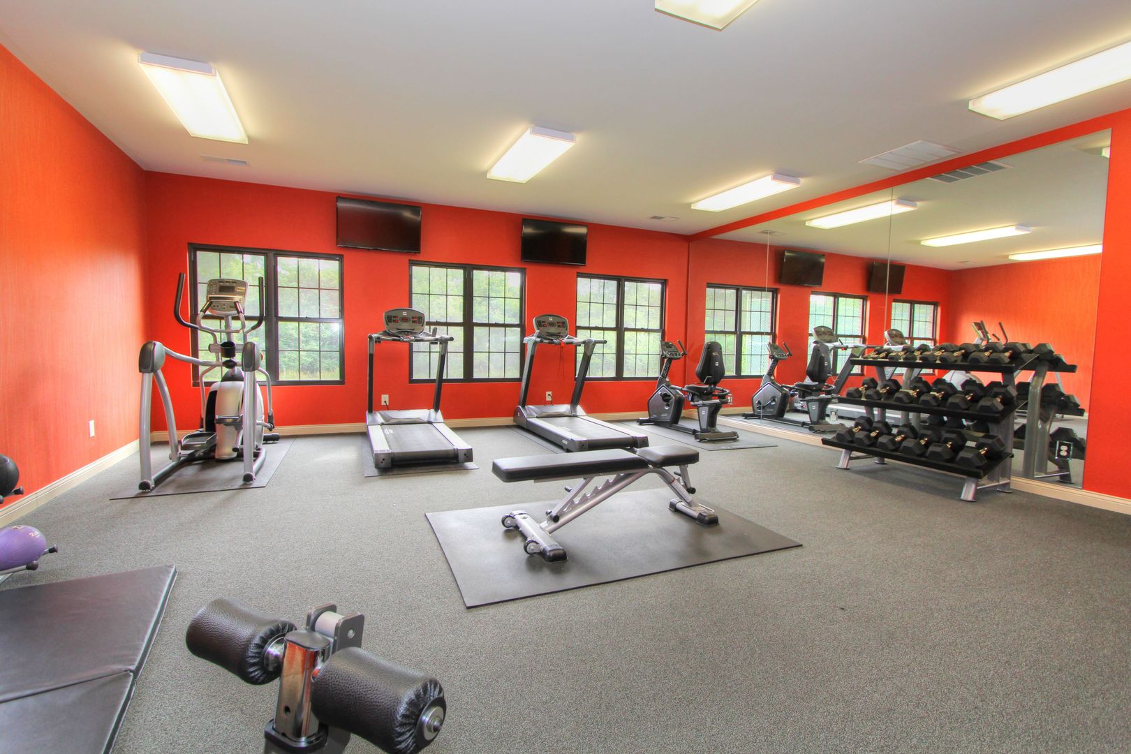 Lexington Apartment: 3351 Cove Lake Drive