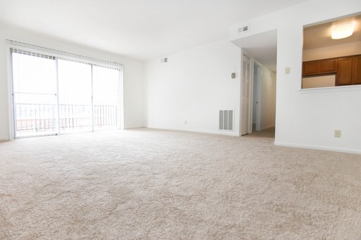 The Paddock Apartments - Large 1 Bed & 1 Bath – photo 1