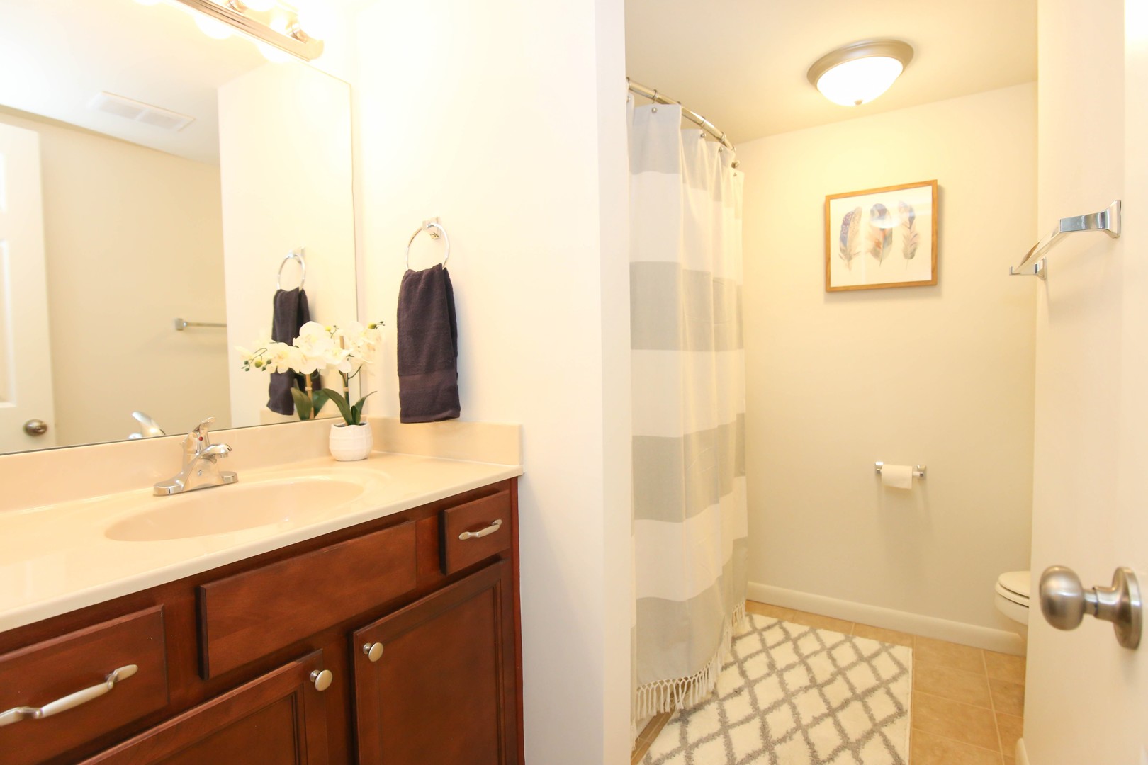 Lexington Apartment: 3300 Montavesta Road #2101