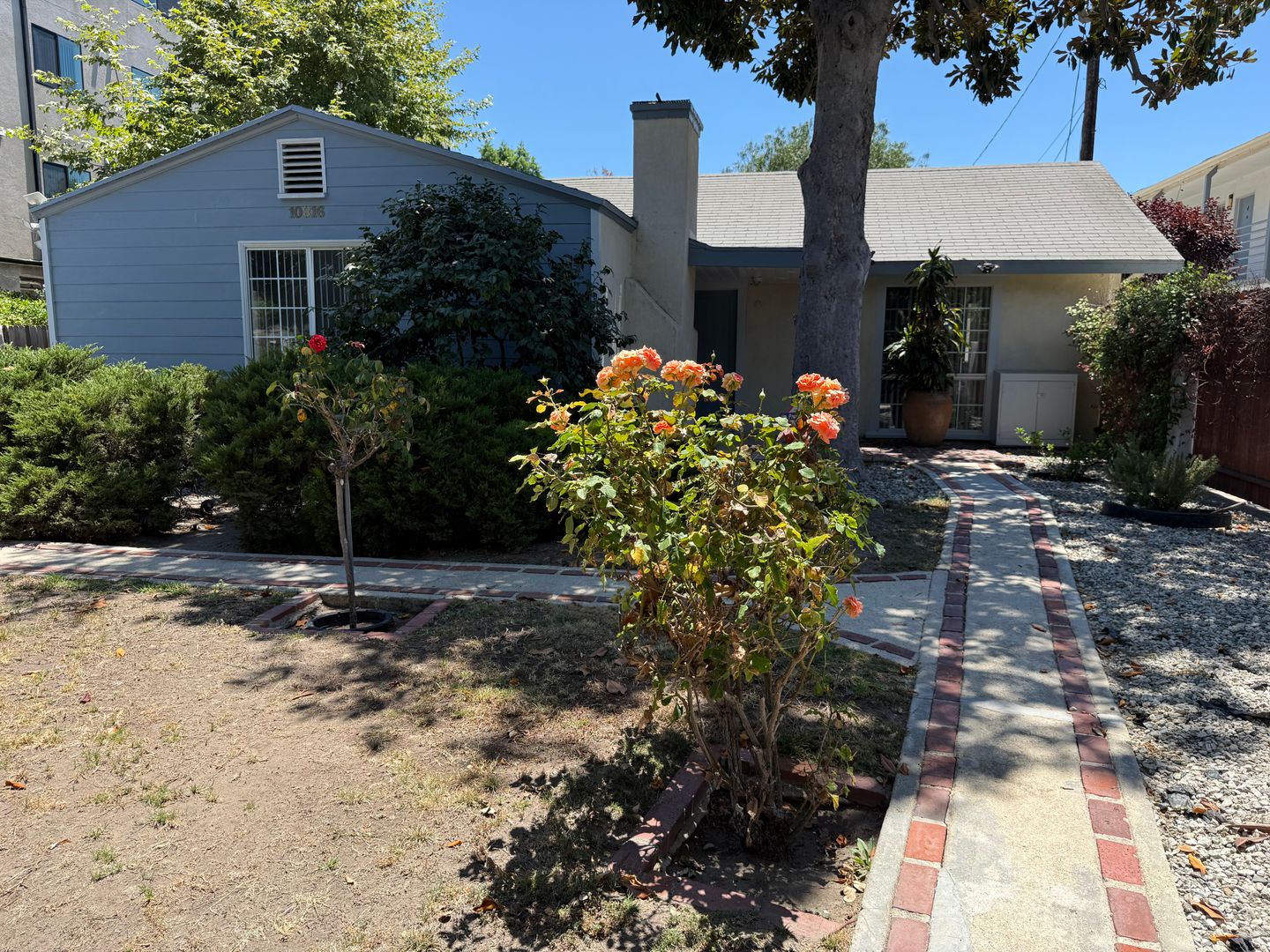 BLIX- Alpaca Apartments 4 of 12