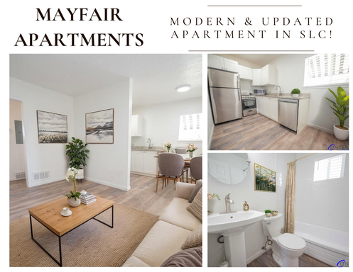 Bright, Modern Living Just Minutes from Downtown & the U With In-Unit Laundry! – photo 1