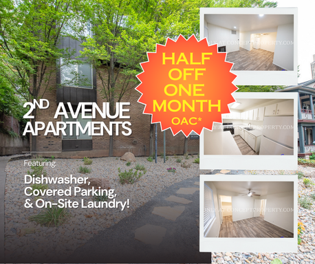 HALF OFF ONE MONTH! Walk to Memory Grove From This Incredible Avenues Apartment! Updated Flooring, Walk-In Closet, and On-Site Laundry! – photo 1