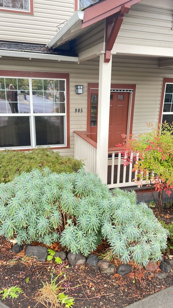 Ashland Condo: 905 Mountain Meadows Circle