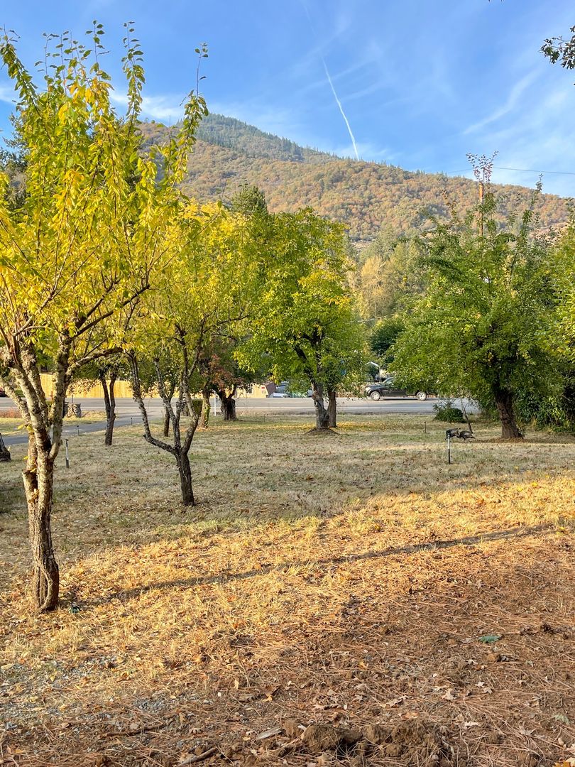 Rogue River Apartment: 7015 Rogue River Hwy