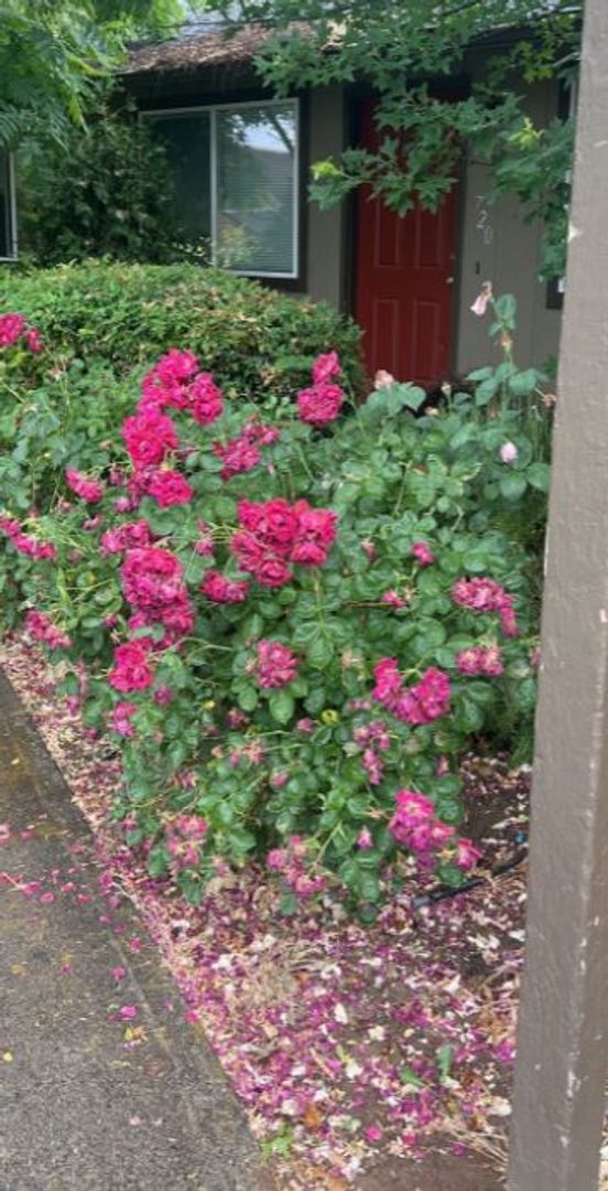 Grants Pass Apartment: 714-728 NE Savage