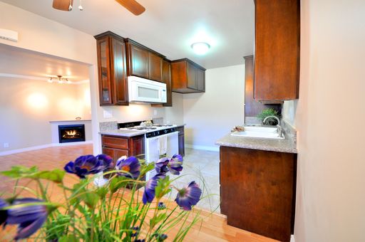Now Leasing – Fully Upgraded 1 Bedroom / 1 Bathroom Apartment Homes