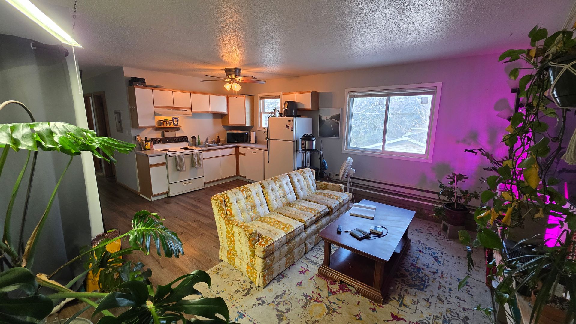 Duluth Apartment: 5703 Nicollet Street