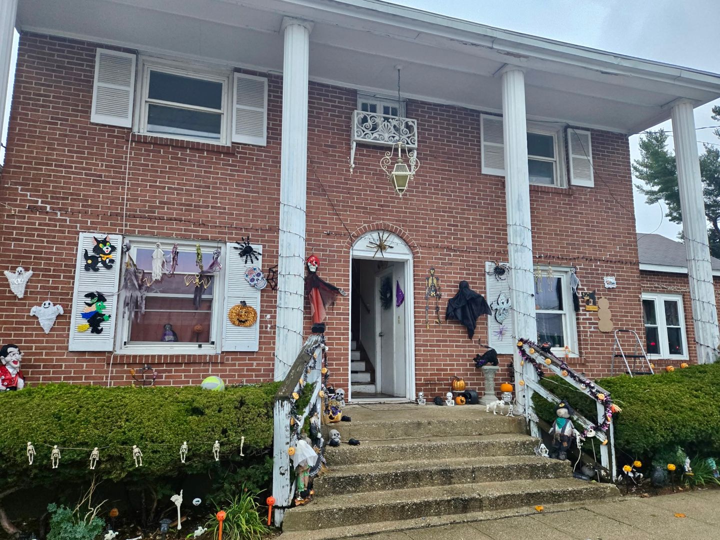 Niles Apartment: 409 Cedar St