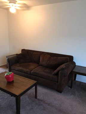 Furnished Berkeley Apartment Walking Distance to BART! All Utilities & Internet Included! – photo 1
