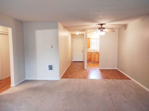 Main floor 1 bedroom