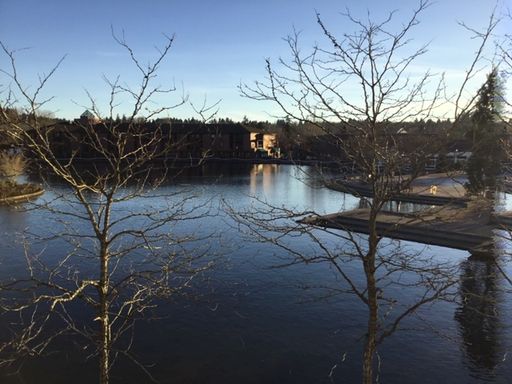 Two bedroom apartment on the lake of the commons in the heart of Tualatin!