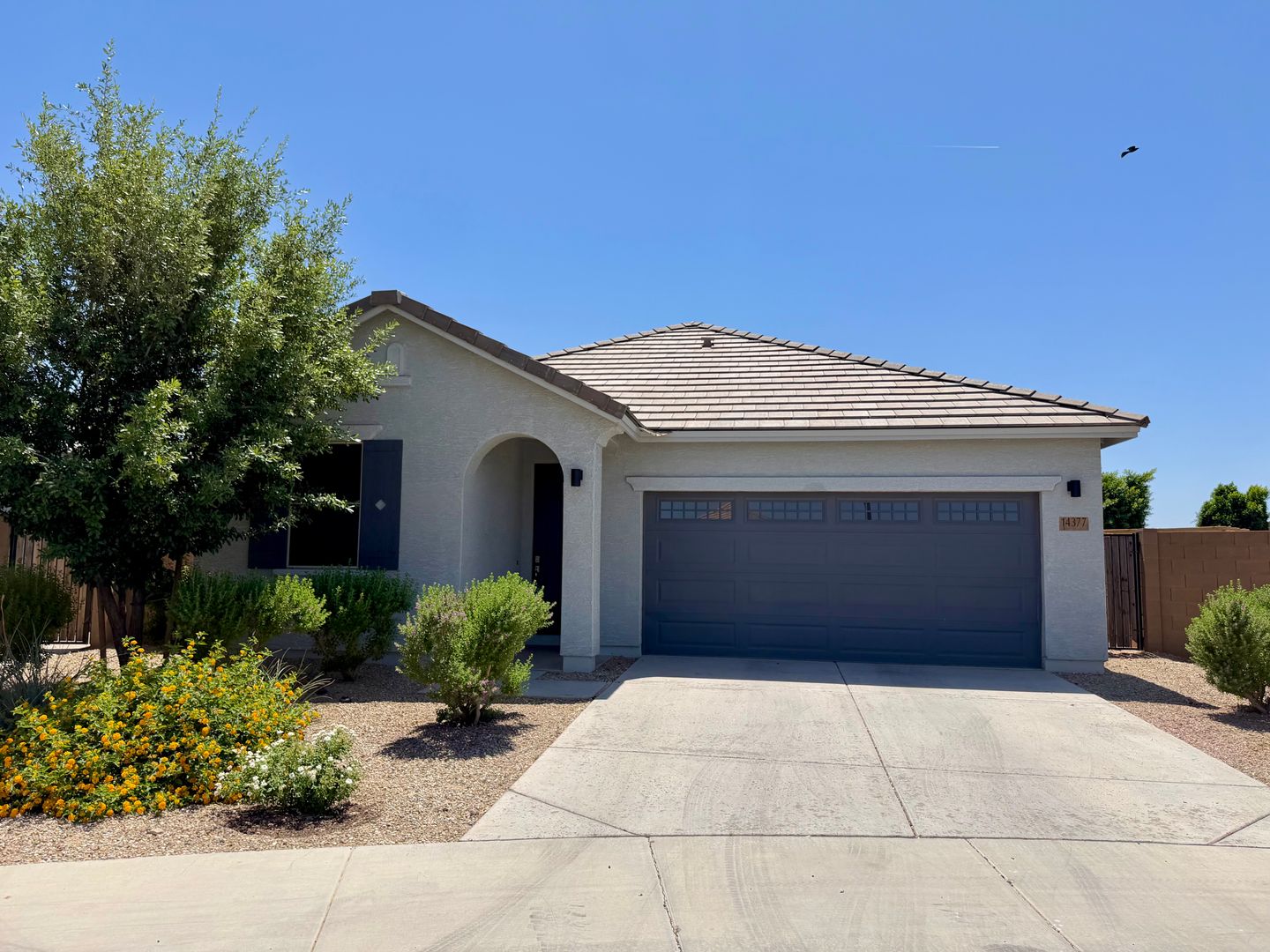 Surprise House: 14377 W Hackamore Dr