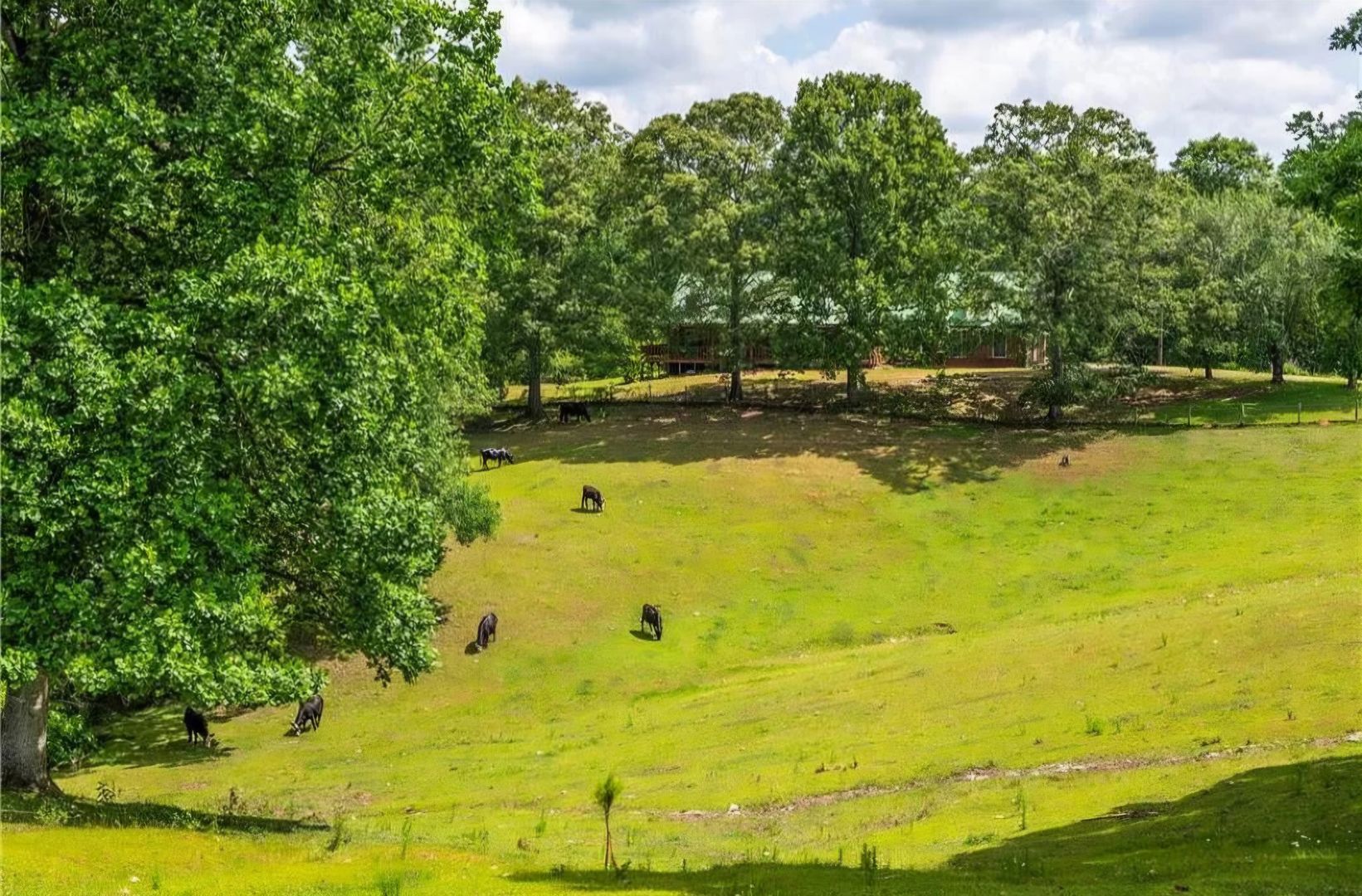 Ball Ground Farm 5 of 12