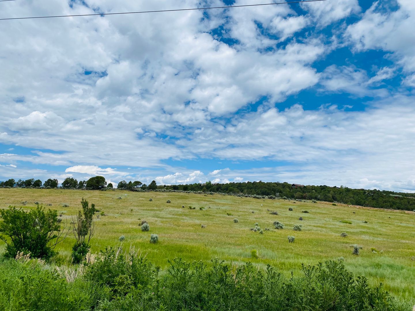 230 Auburn Ridge F204 (NEW), Glenwood Springs, CO 81601