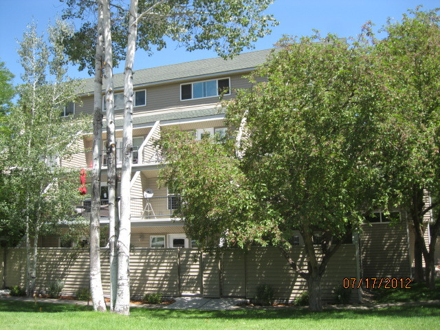 Glenwood Springs House: 1329 Pitkin #20
