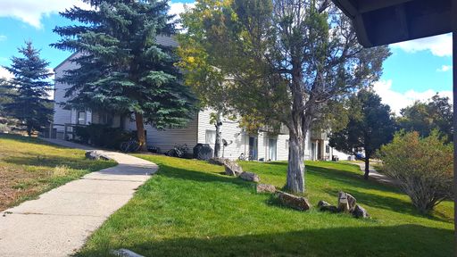 1BD Apartment | Move-In Special: 50% Off Your First Month's Rent!