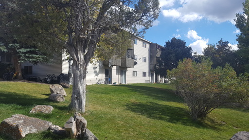 1BD Apartment in Glenwood Springs | Move-In Special: 50% Off Your First Month's Rent!