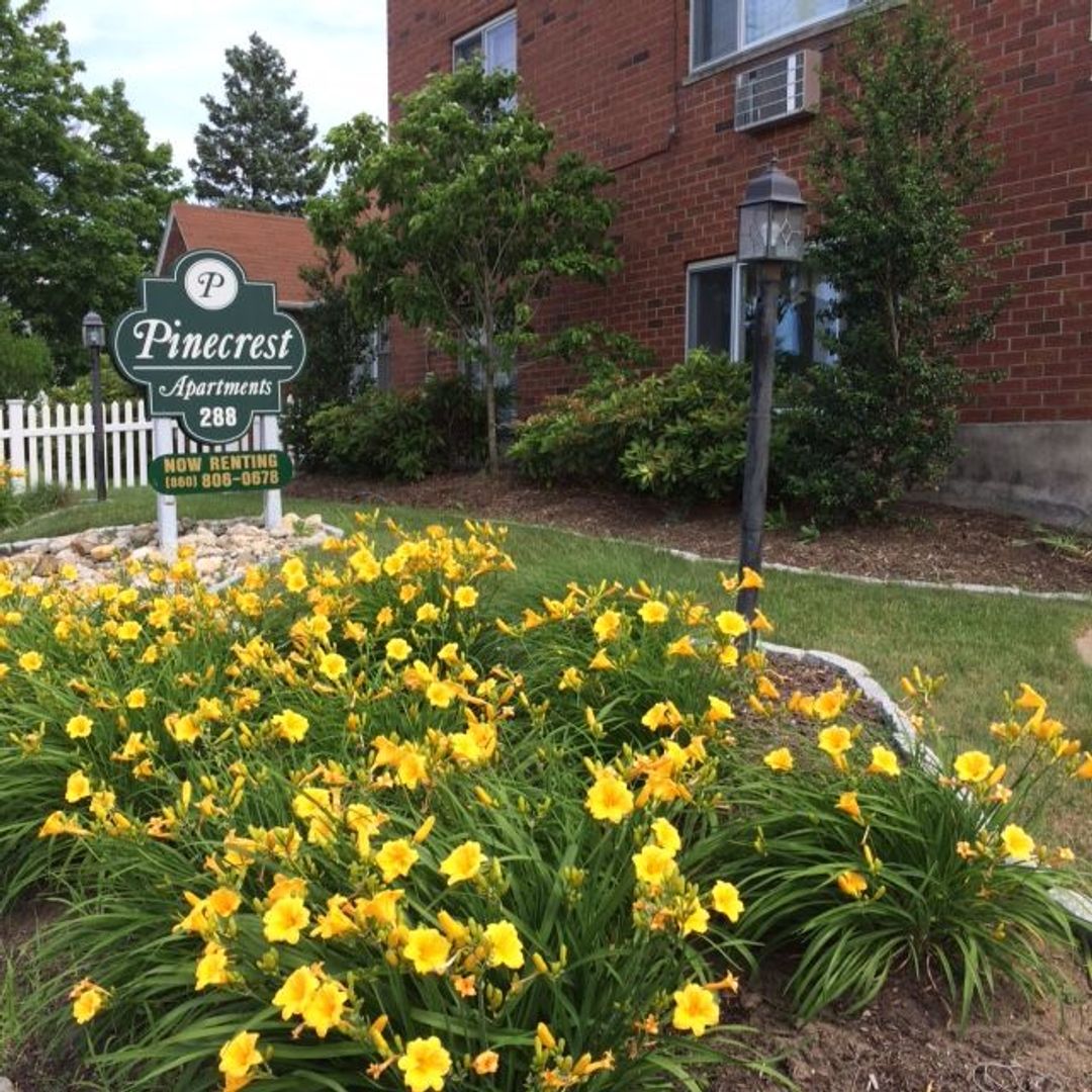 Bristol Apartment: 288 Pine Street