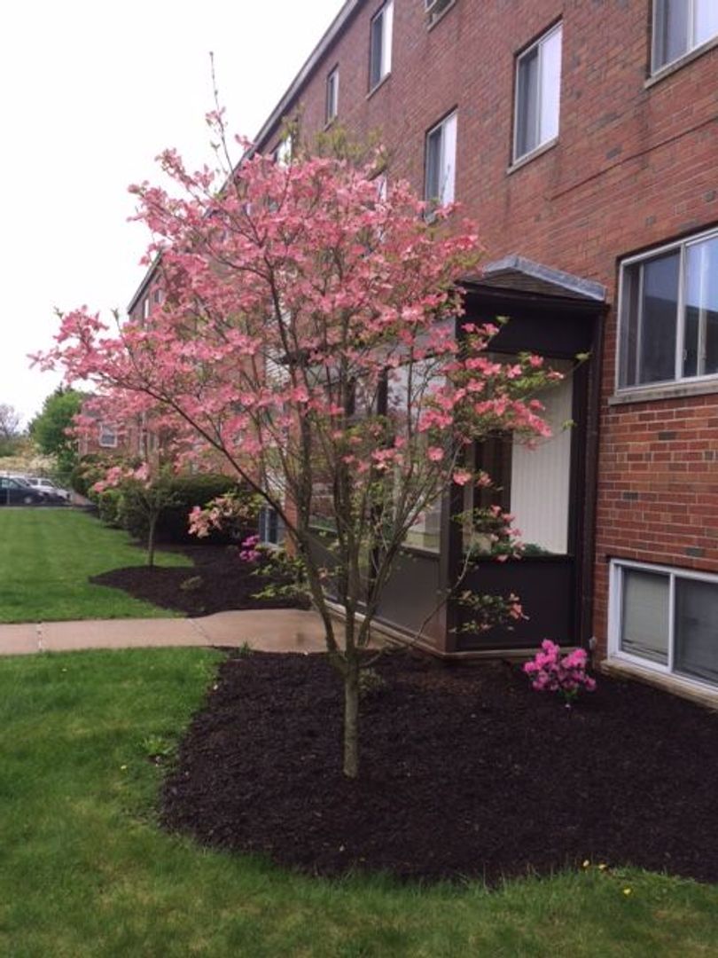 Bristol Apartment: 45 Hawthorne Street