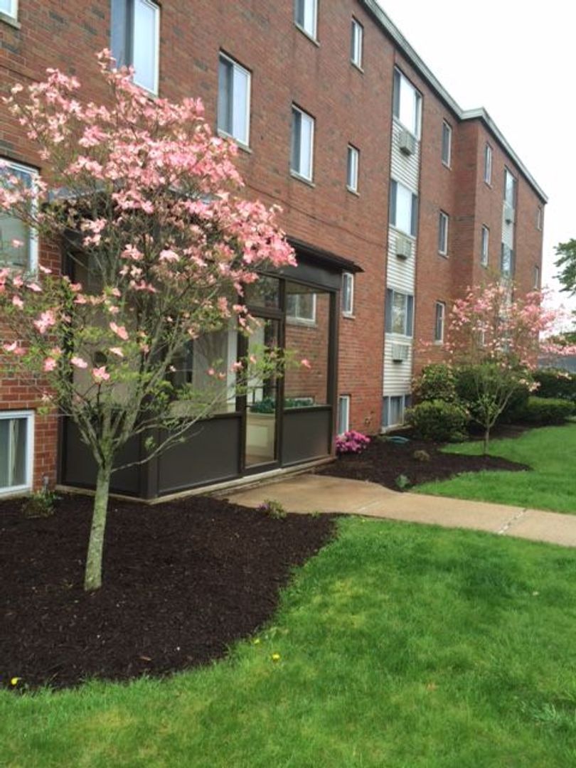 Bristol Apartment: 45 Hawthorne Street