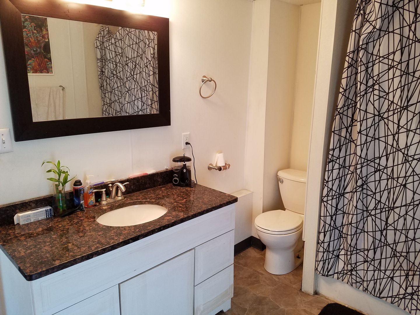 Cedar Falls Apartment: 1221 Tremont