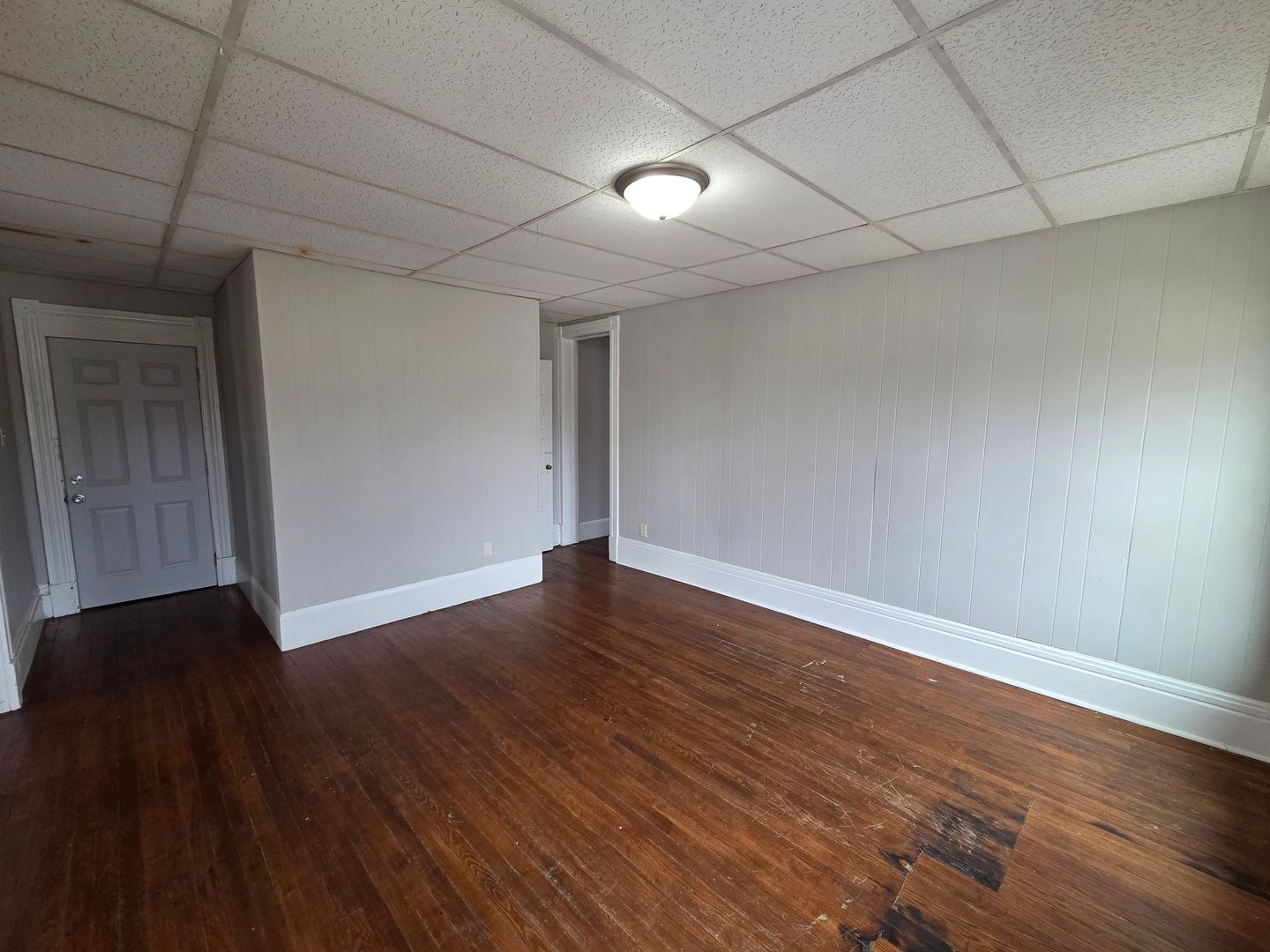 Waterloo Apartment: 223 Allen Street