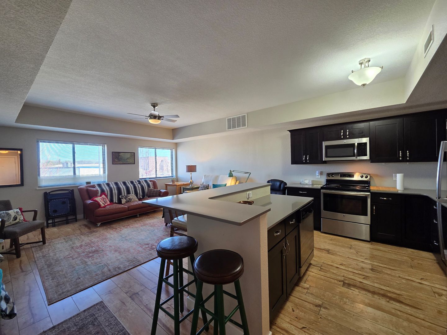Cedar Falls Apartment: 221 E 5th Street #209