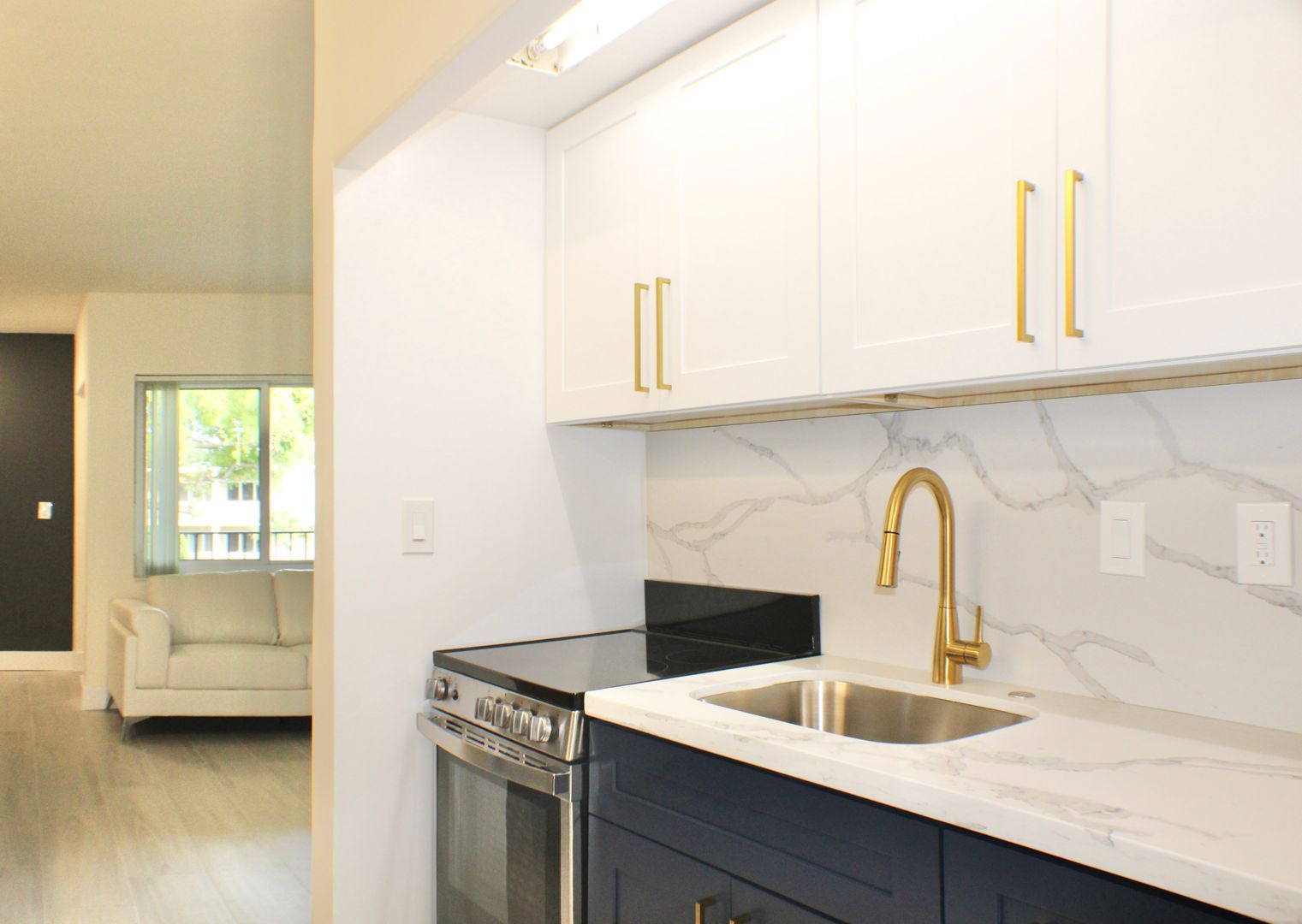 Boca Raton Apartment: 1675 NW 4th Avenue, OFC