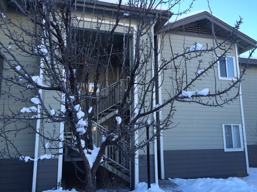 Beautiful Timberline Condo – photo 1
