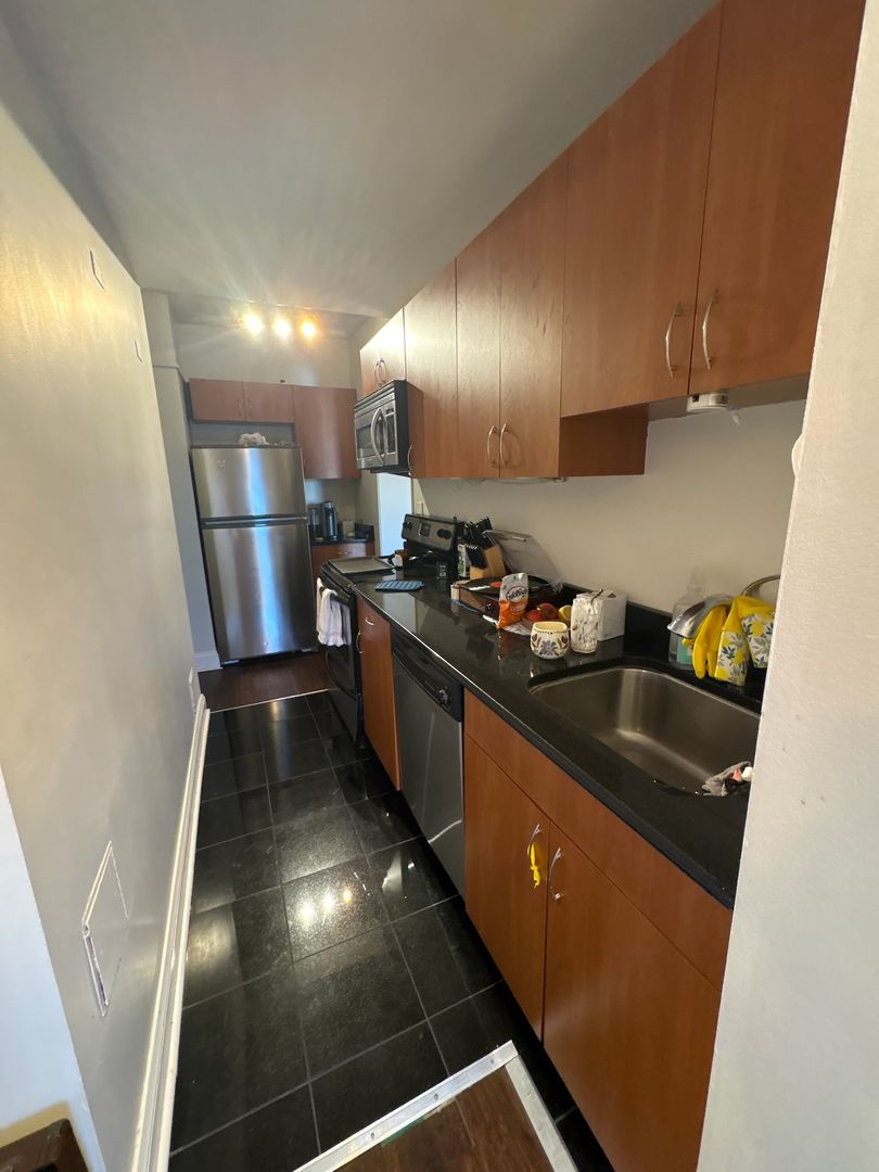 Chicago Apartment: 1211 N LaSalle Drive