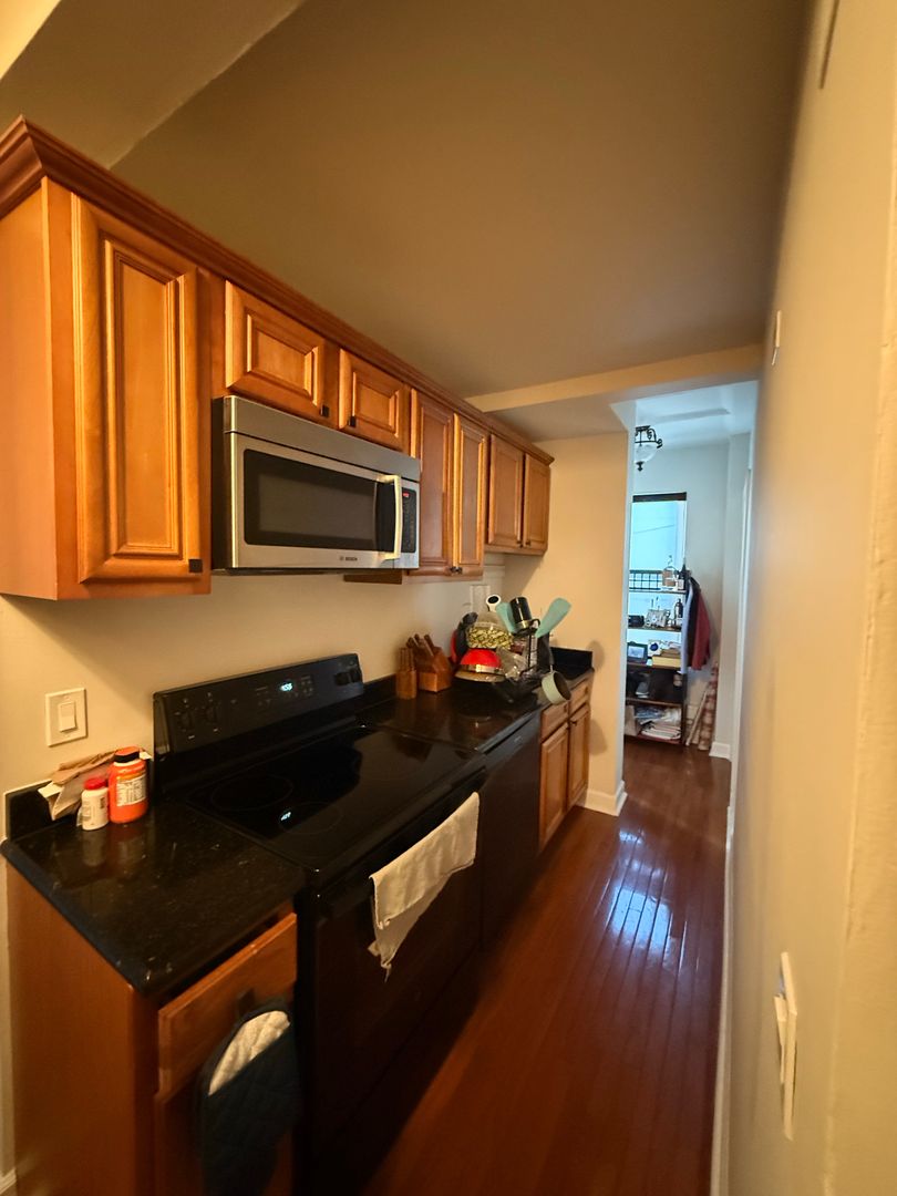 Chicago Apartment: 1211 N LaSalle Drive
