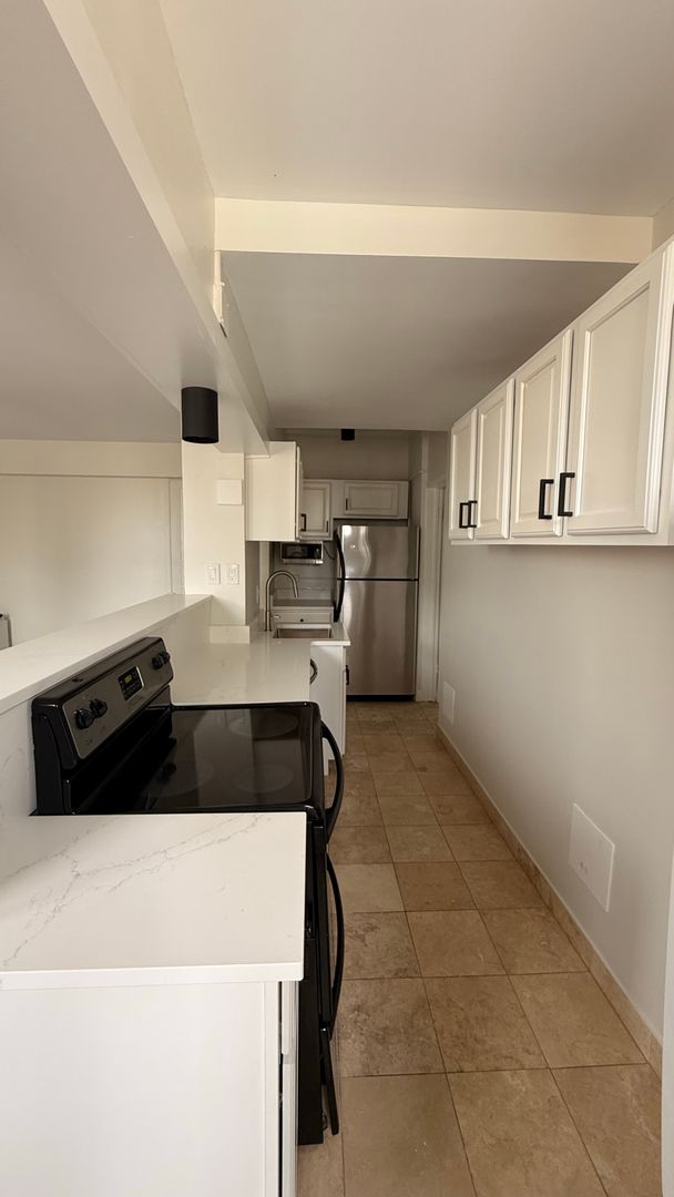 Chicago Apartment: 1211 N LaSalle Drive