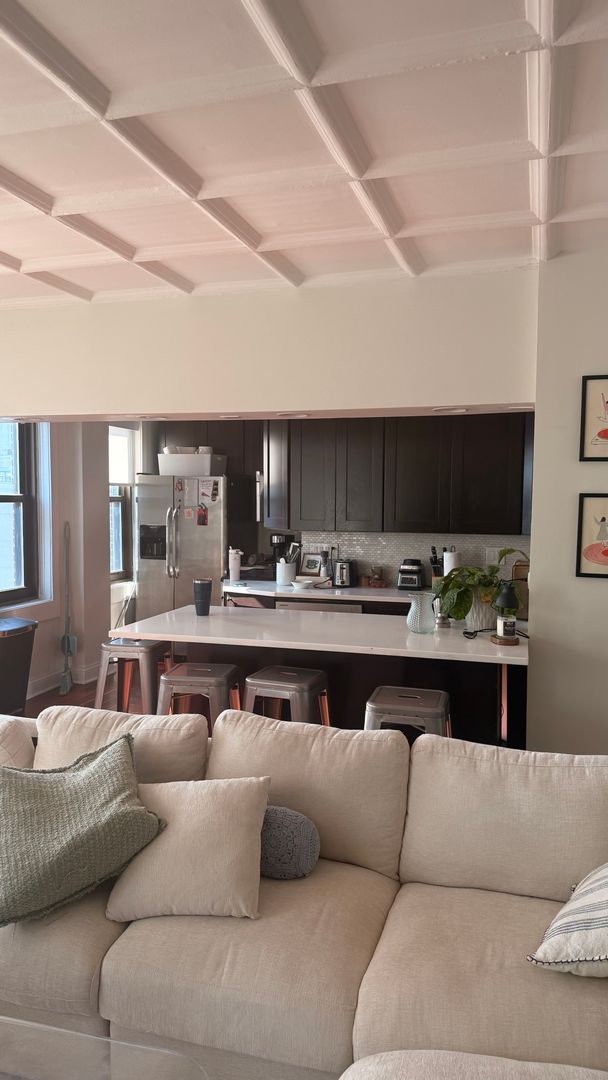 Chicago Apartment: 1211 N LaSalle Drive