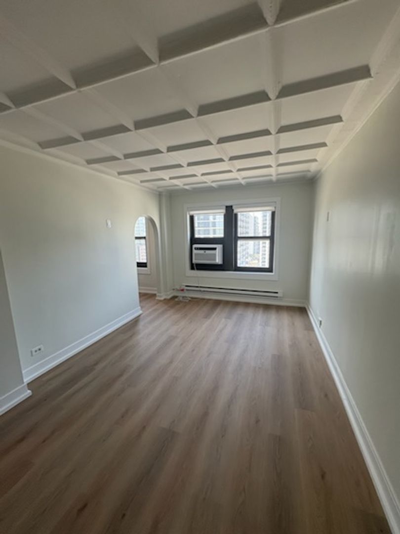Chicago Apartment: 1211 N LaSalle Drive