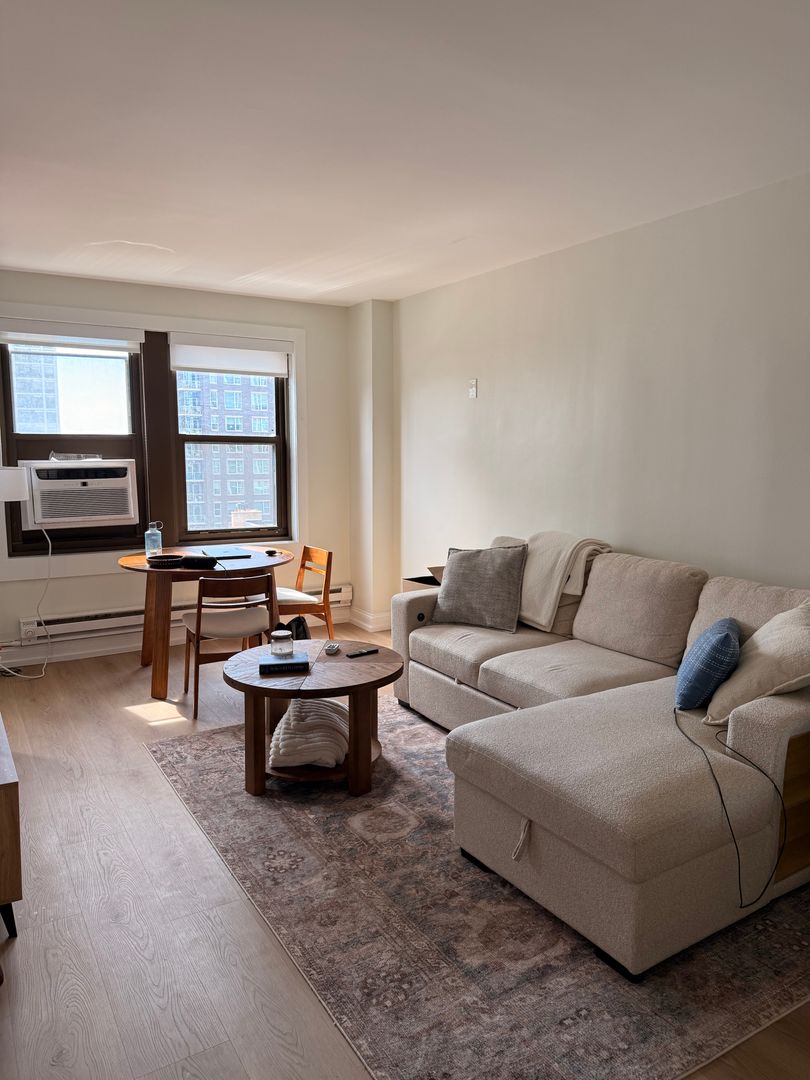 Chicago Apartment: 1211 N LaSalle Drive