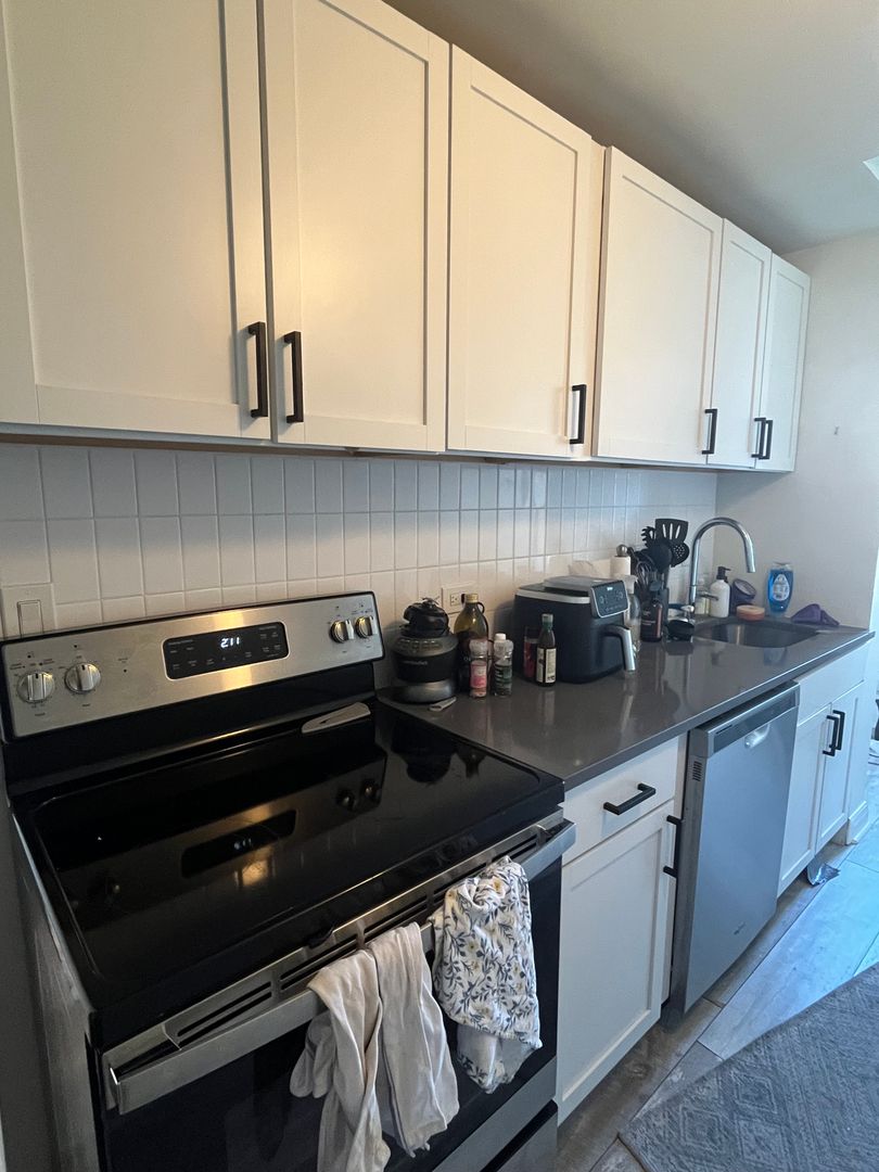 Chicago Apartment: 1211 N LaSalle Drive