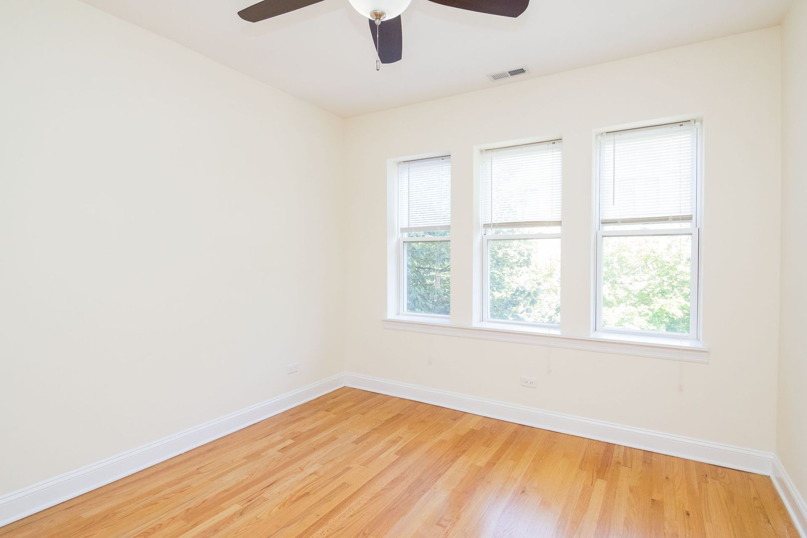 Chicago Apartment: 2035-37 W. Arthur Ave./6446-56 N. Seeley Ave