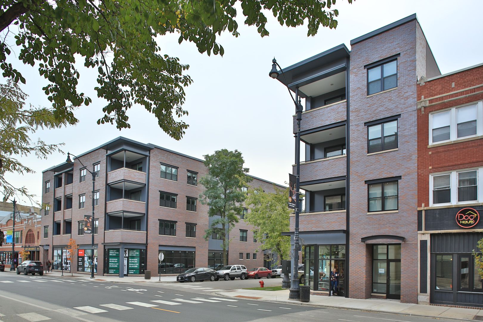 Chicago Apartment: 904 & 909 W Montana Street