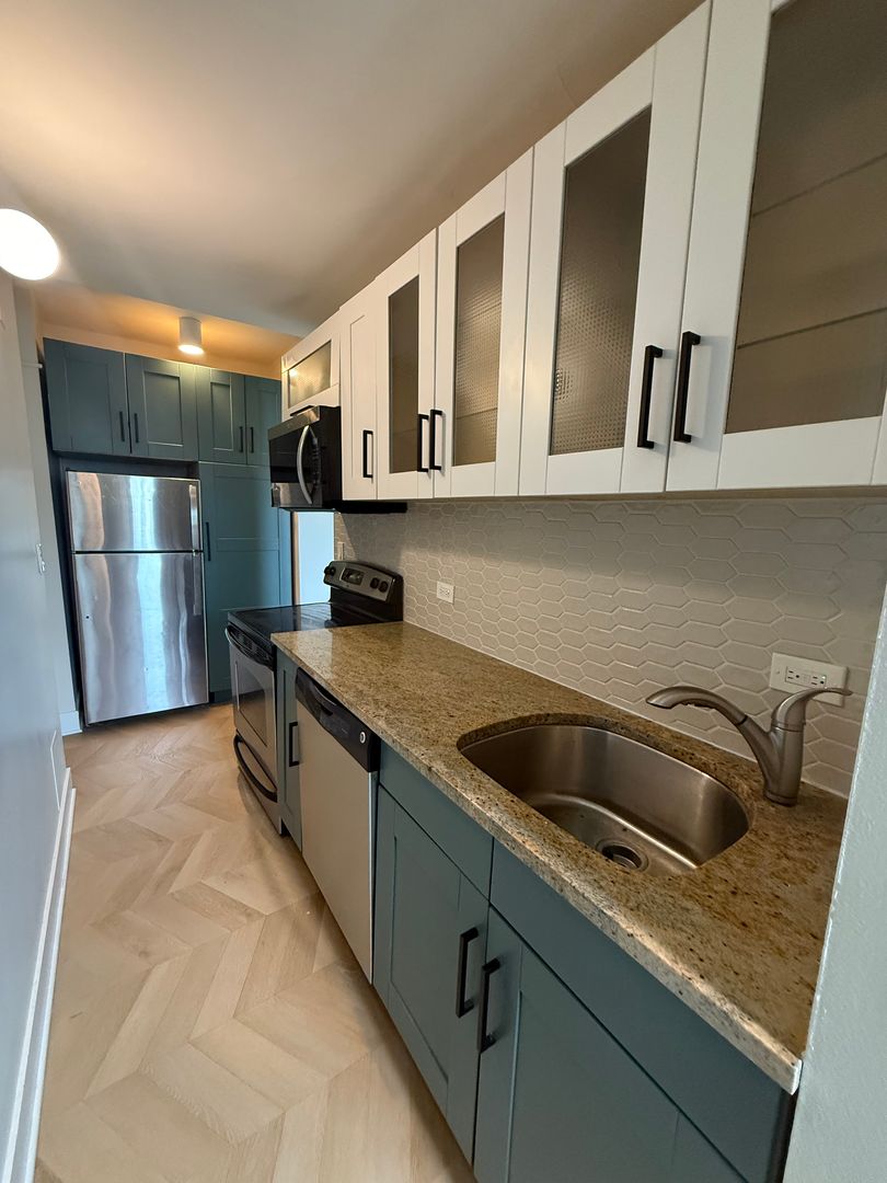 Chicago Apartment: 1211 N LaSalle Drive