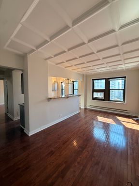 1211 N LaSalle Dr Unit 1201 – photo 1
