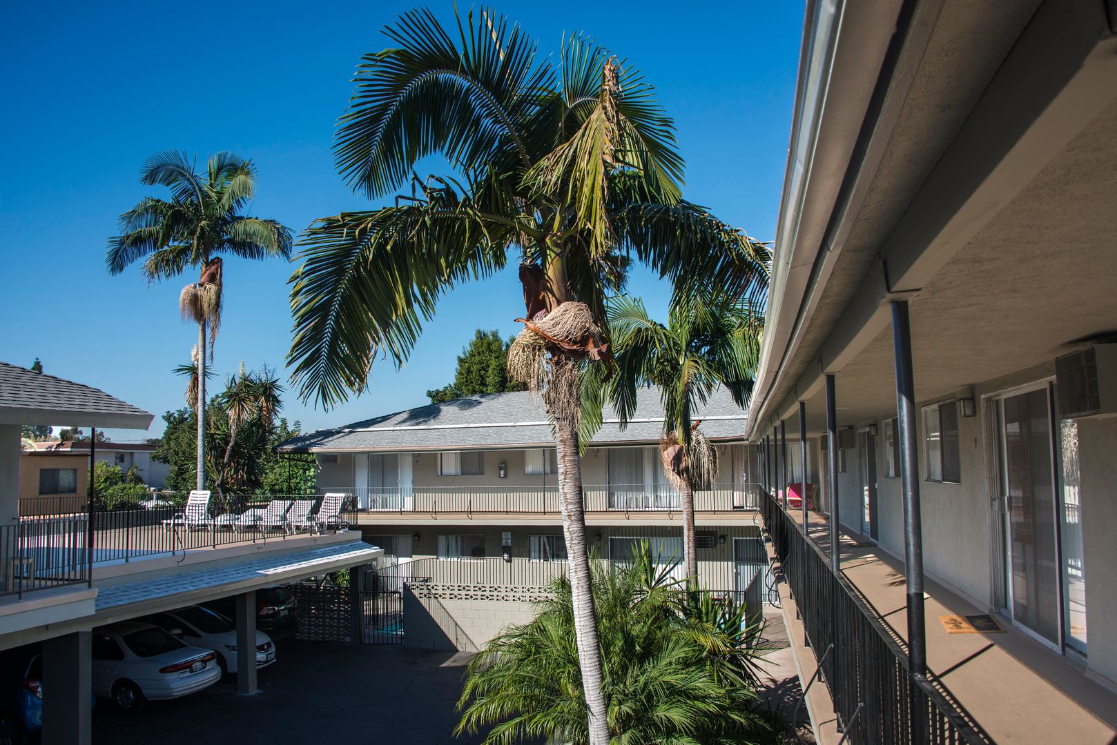 Glendale Apartment: 1253 Boynton St.