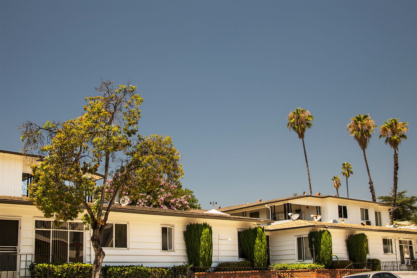 Pasadena Apartment: 1091 N. Lake Ave.