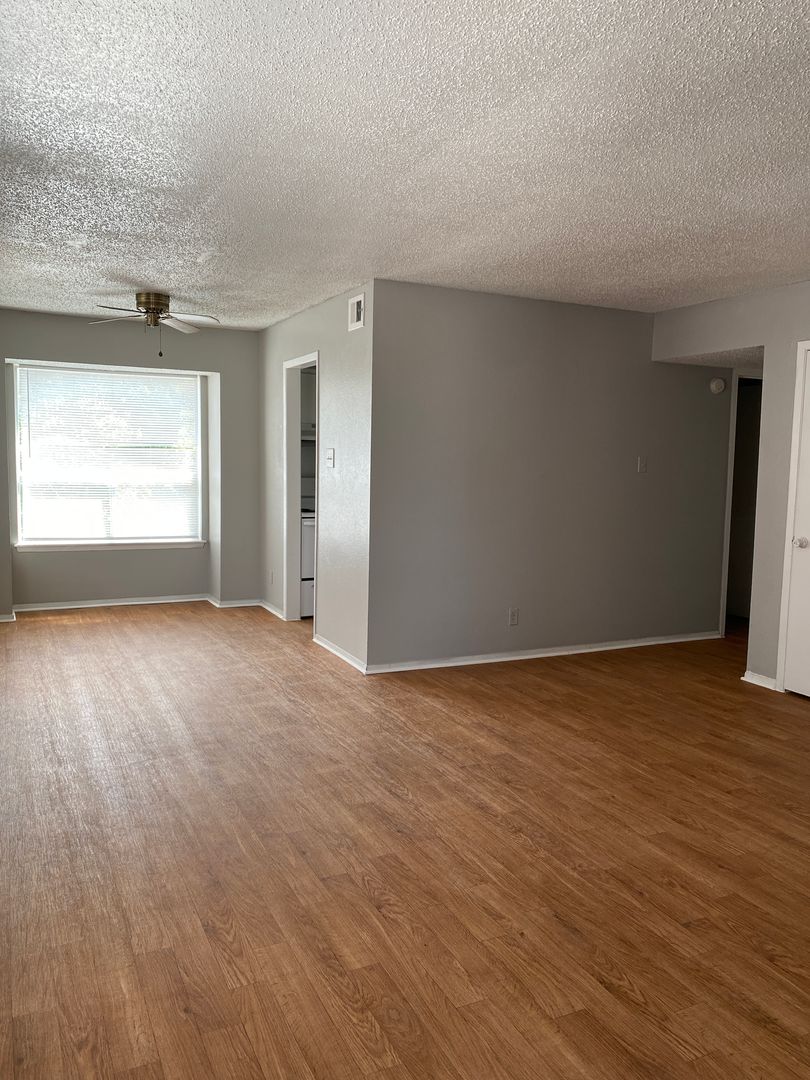 San Antonio Apartment: 717 E Grayson St