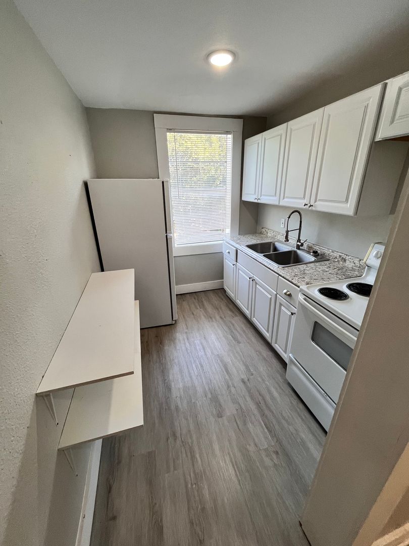 San Antonio Apartment: 1318 Willow St Unit 4